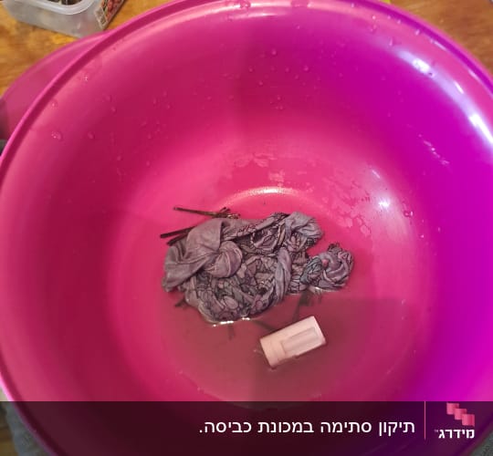 כלי עבודה חשמליים בקופסה ליד קערה סגולה